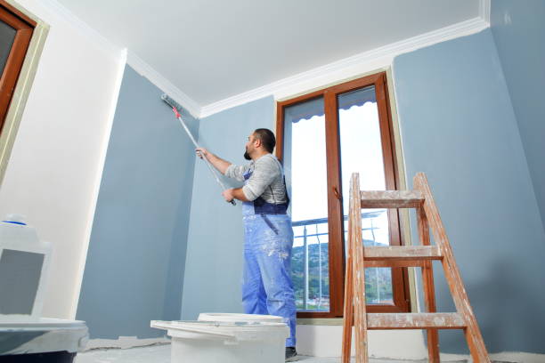 Professional Dry wall and painting in Bonsall, CA